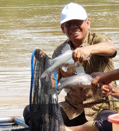 Bupati Mursini Panen Ikan Keramba Jaring Apung di Desa Pulau Aro
